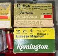 Shotgun Ammo