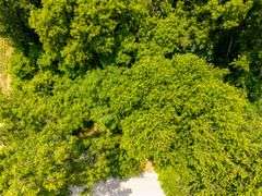 10895 N Tobacco Landing Rd Laconia, IN 47135