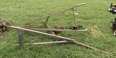 Planet Jr. Seeder & Push Plow