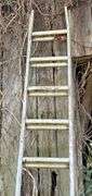 20' Aluminum Extension Ladder
