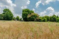 15 +/- acres on Old Hwy 11 Laconia, IN 47135