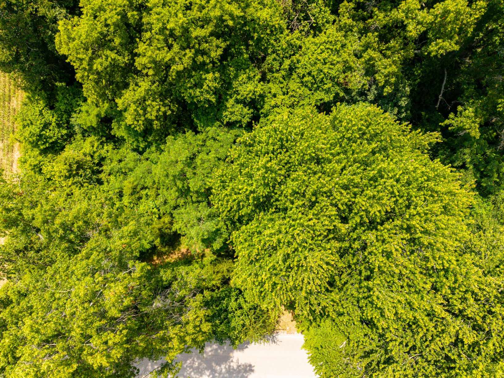 Lot image 29
