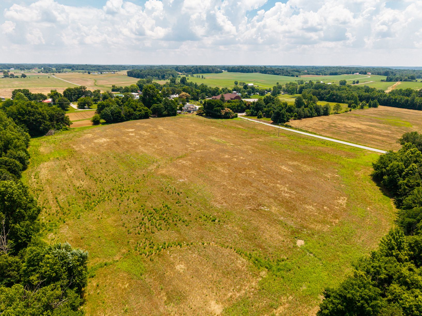 Lot image 13