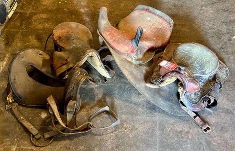 Early Leather Saddle Collection image