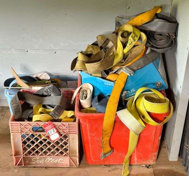 Assorted Ratchet Straps image