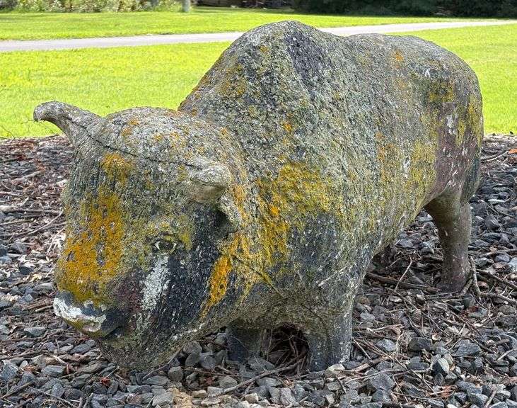 Concrete Buffalo image