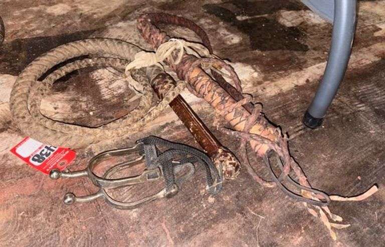 Horse Whips & Spurs image