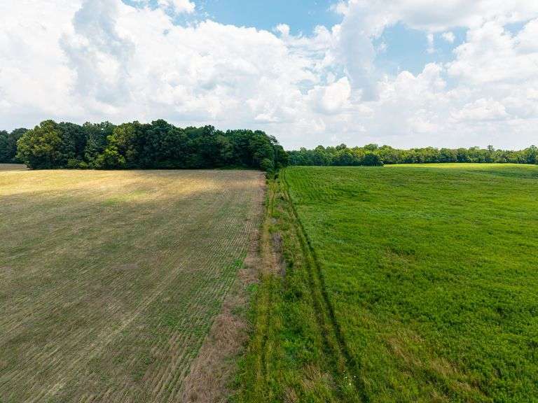 5+ Acre Laconia (Ideal Hunting Property) Real Estate Online Auction image