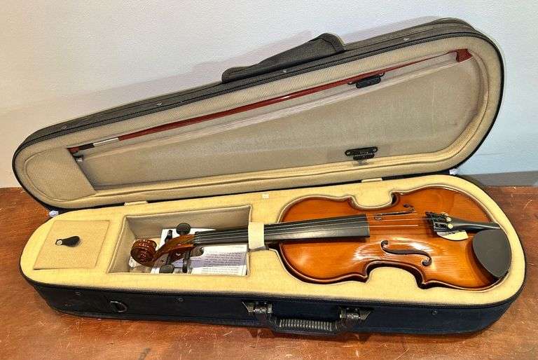 Palatino Custom Youth Violin with Case image