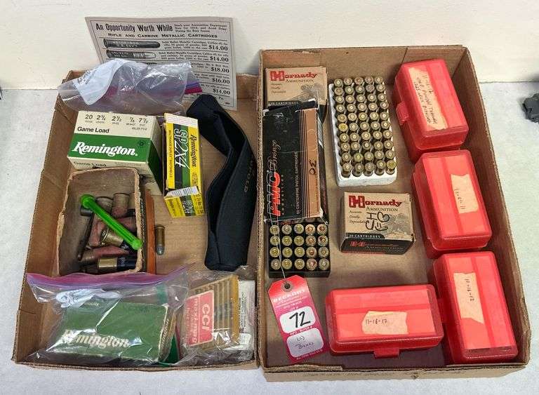 204 Ruger Ammo & Related Items image