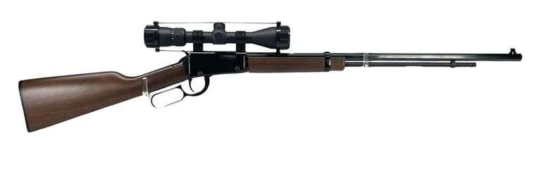 Henry Arms Model H001TMLB .22 Rifle image
