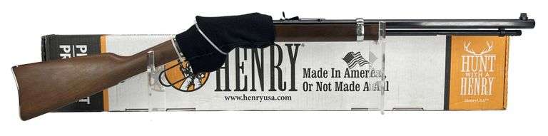 Henry Repeating Arms Co. H004SEV Silver Eagle .17 Rifle - NEW image