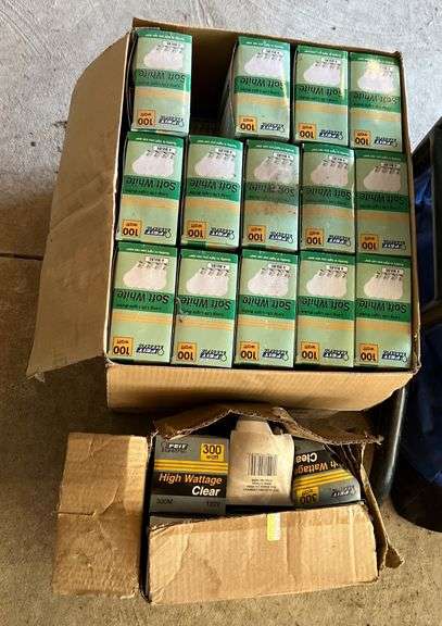 100W & 300W Light Bulbs image