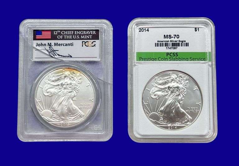 2013 & 2014 Silver Eagle PCGS MS69 PCSS MS70 image
