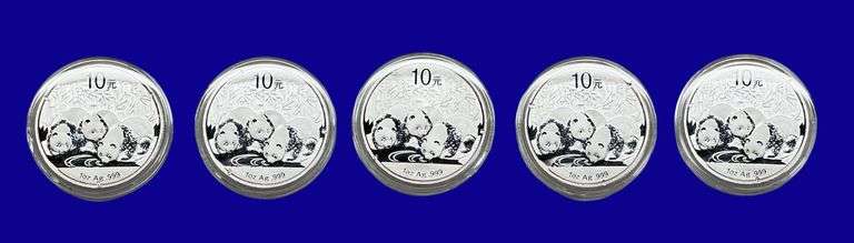 5 Ounces of Silver Rounds image