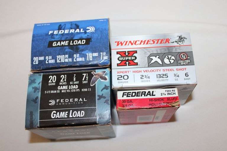 20 gauge shot gun shells