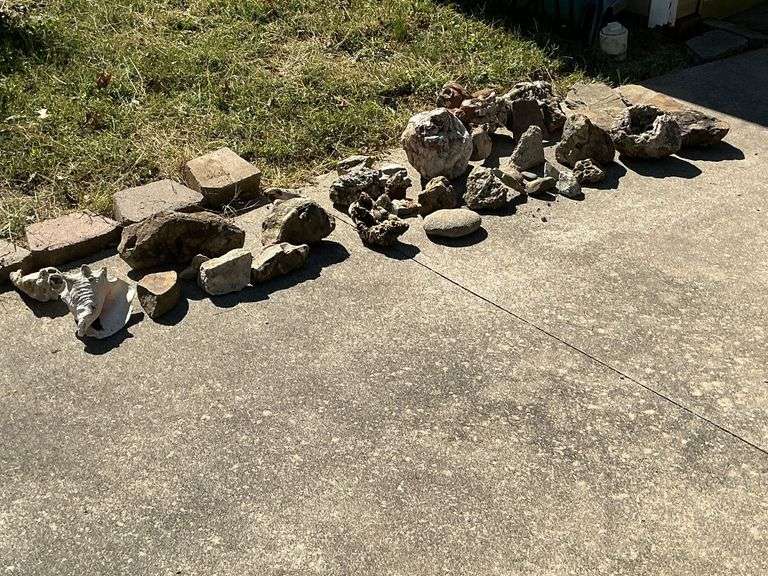 Geodes, rocks, seashells image