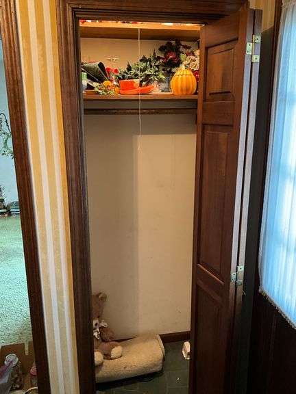 Contents of closet, fall and Christmas decorations image