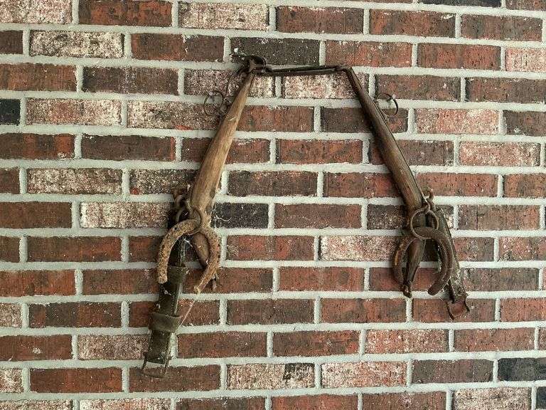 Horse hames and horseshoe decorations image