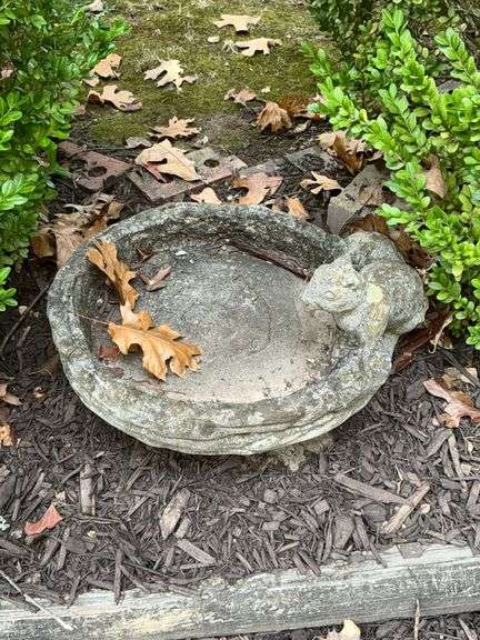 Concrete squirrel bowl image