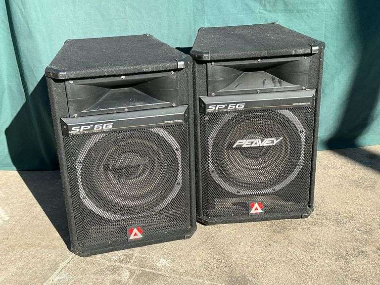 Pair of Peavey SP5G speakers, 1000 watt peak 500 watt program, 8 ohms image