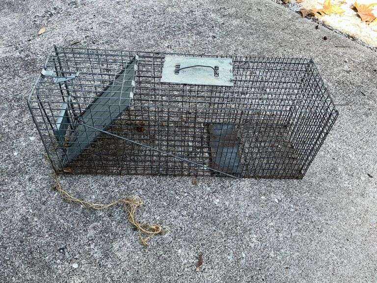 Havahart live animal trap image