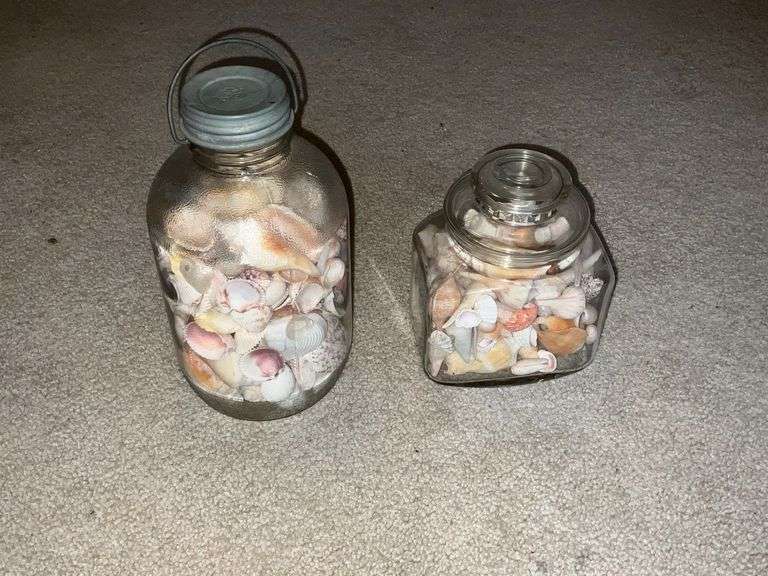 Jars of sea shells image