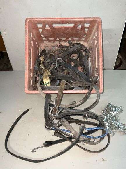 Assortment of bungee cords image