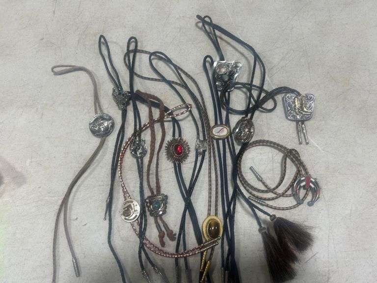 Collection of Bolo Ties with Assorted Designs image