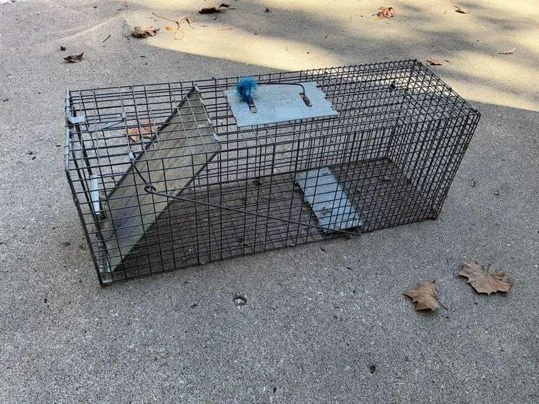 Havahart live animal trap image