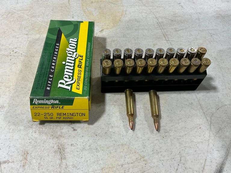 Remington 22-250 rifle shells 55 gr polymer and lead tip image