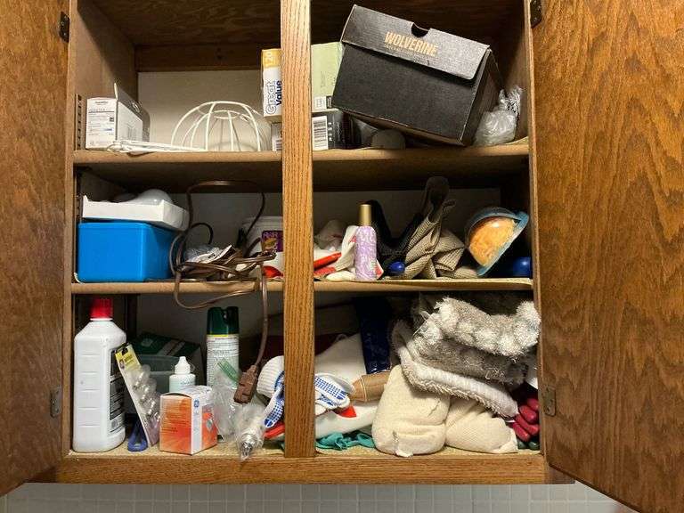 Contents of laundry room, cleaning supplies, mops, brooms image