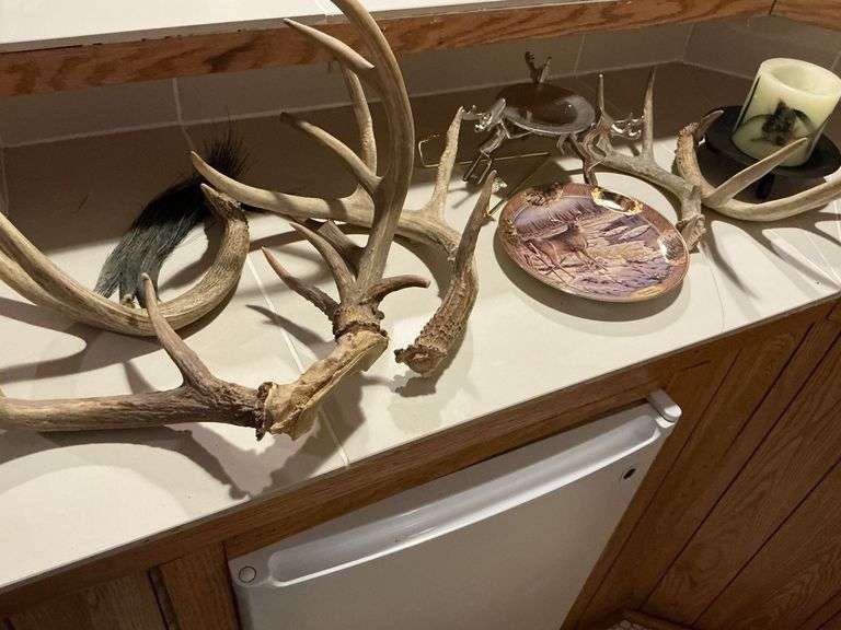 Deer antlers, collector's plate, candleholder, turkey beards, etc. image