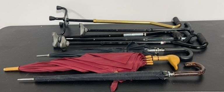 Assorted Canes and Umbrellas image