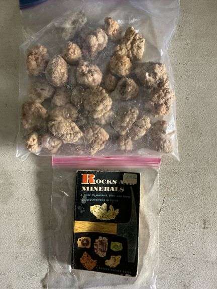 Gallon bag of Missouri geodes, Rocks and Minerals Golden Nature Guide image