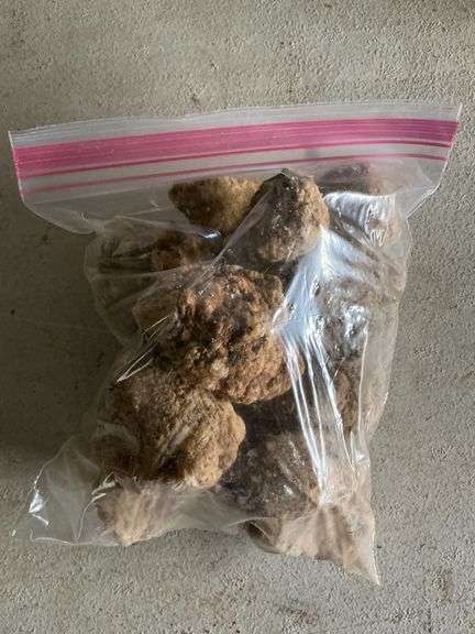Quart bag of Missouri geodes image