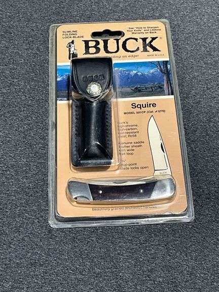 Buck Squire folding knife with leather sheath, Model 501CP image