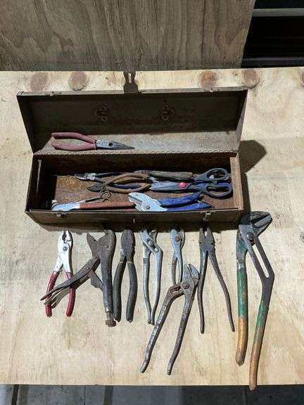 Metal tool box pliers, vise grips image