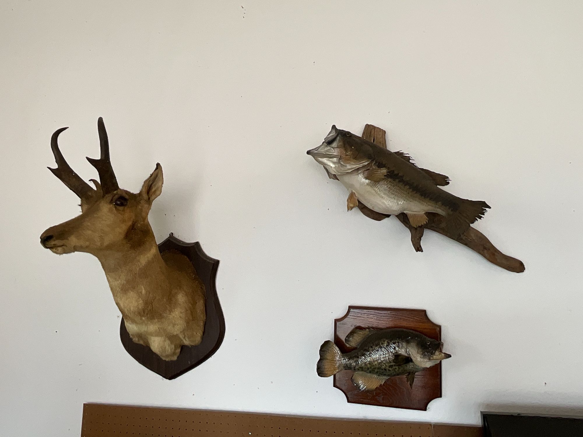 Lot image 1