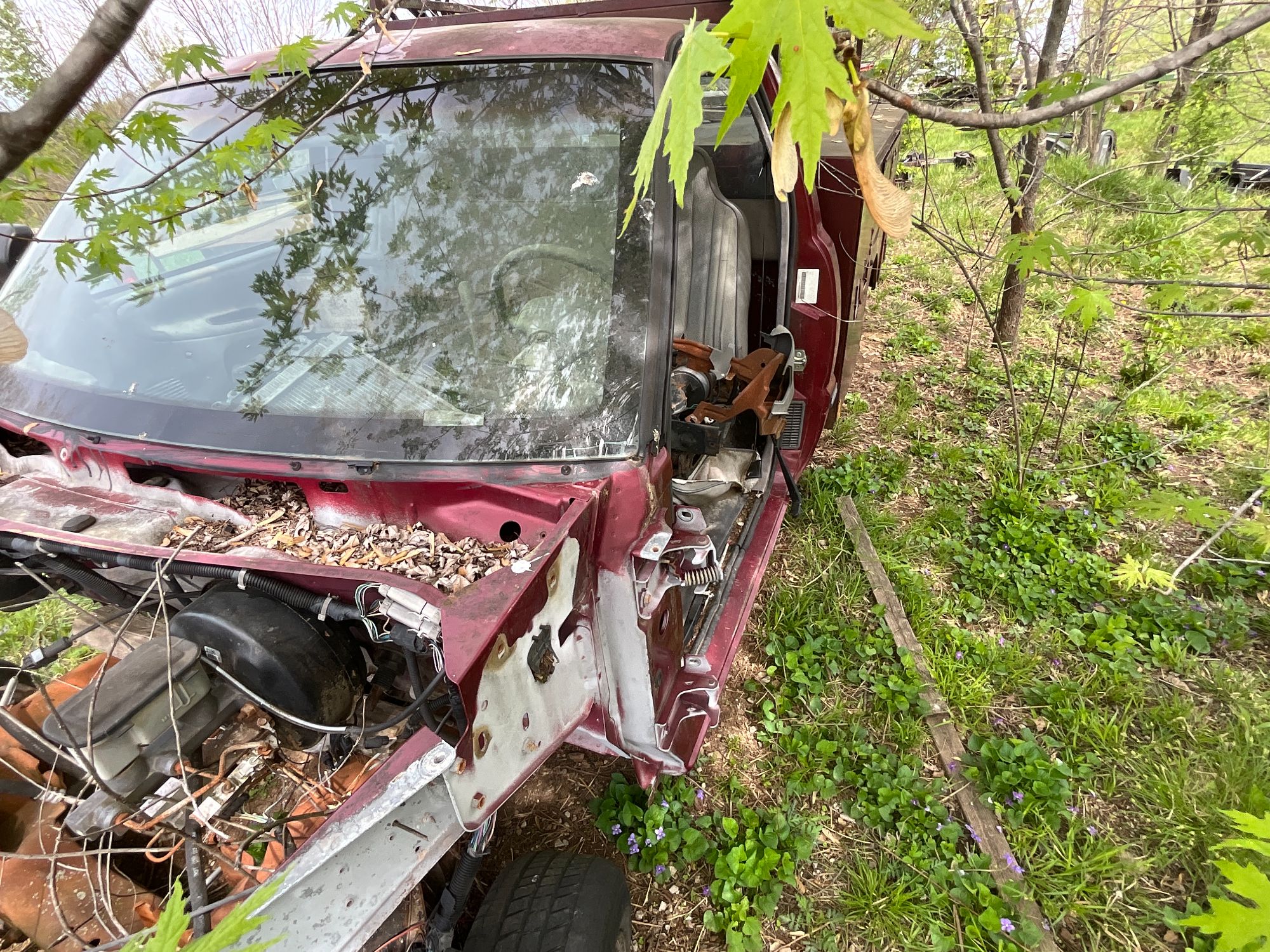 Lot image 6