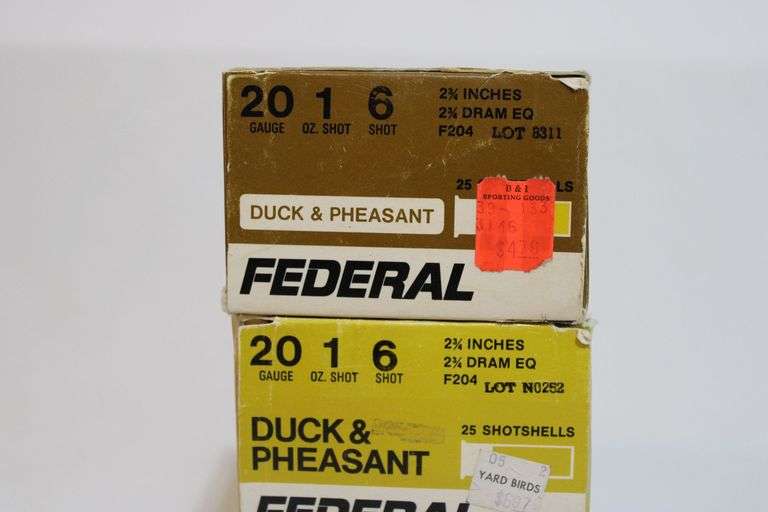 Federal 20 gauge, 2 3/4" No. 6 shot