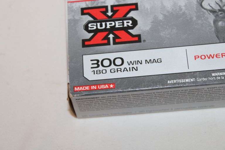 Winchester 300 WIN MAG, 180 gr.