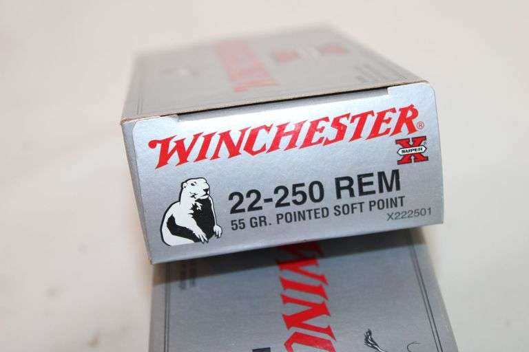 Winchester 22-250 REM, 55 gr.
