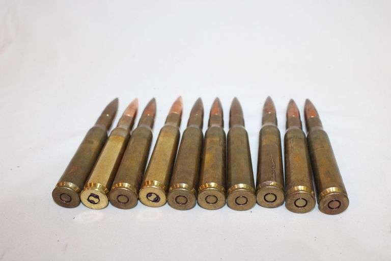 (10) 50 caliber ammunition rounds