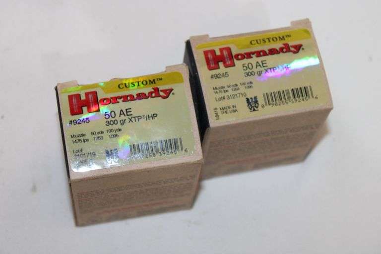 Hornady 50 AE, 300 gr. XTP/HP