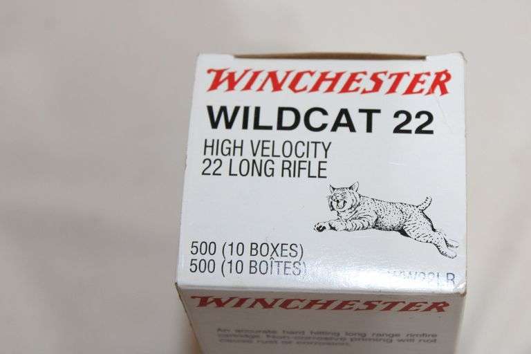 Winchester Wildcat .22