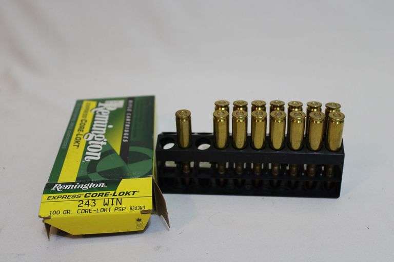 Remington 243 WIN, 100 grain