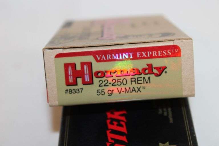 Hornady 22-250 REM, 55 gr. V-Max, 20 rounds