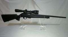 Remington Model  597 .17 HMR rifle