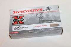 Winchester 300 WIN MAG, 180 gr.